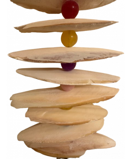 Parrot-Supplies Cuttlefish Bone Celebration Stacker Parrot Toy Parrot-Supplies Cuttlefish Bone Celebration Stacker Parrot Toy